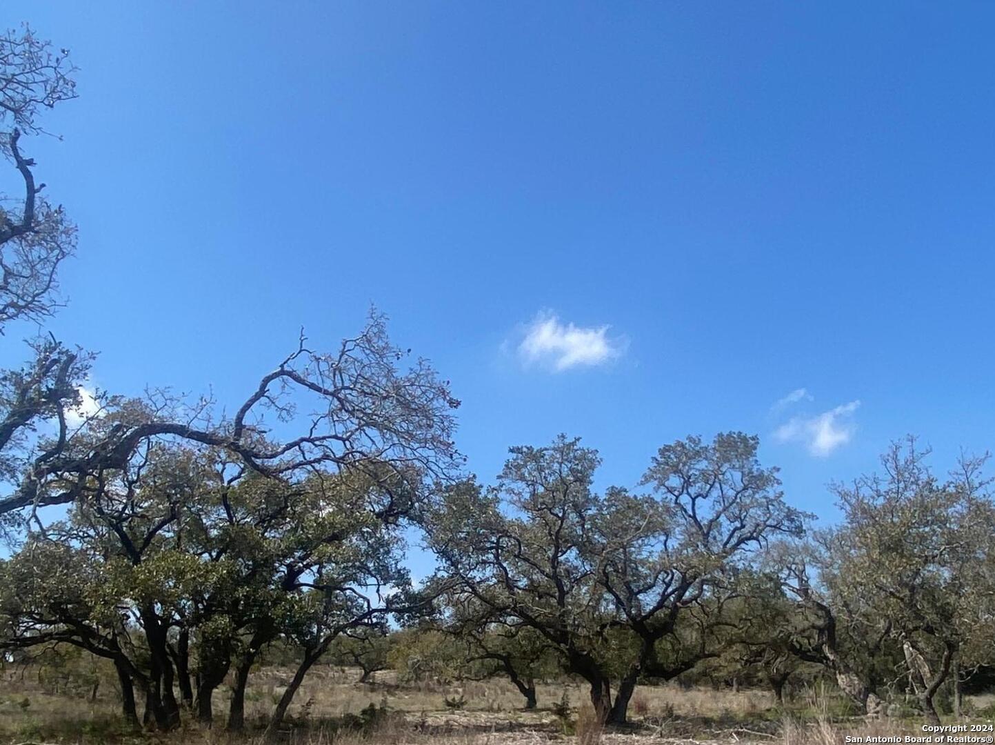 1268 Adyson Ridge Dr, 1734897, Bulverde, Residential Lot and Acreage,  for sale, Key Realty